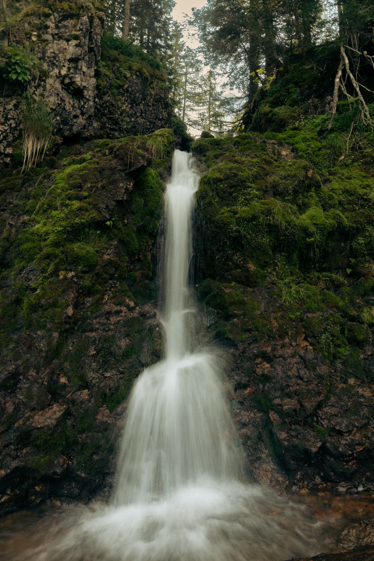 Mossy alpine waterfall in the forest