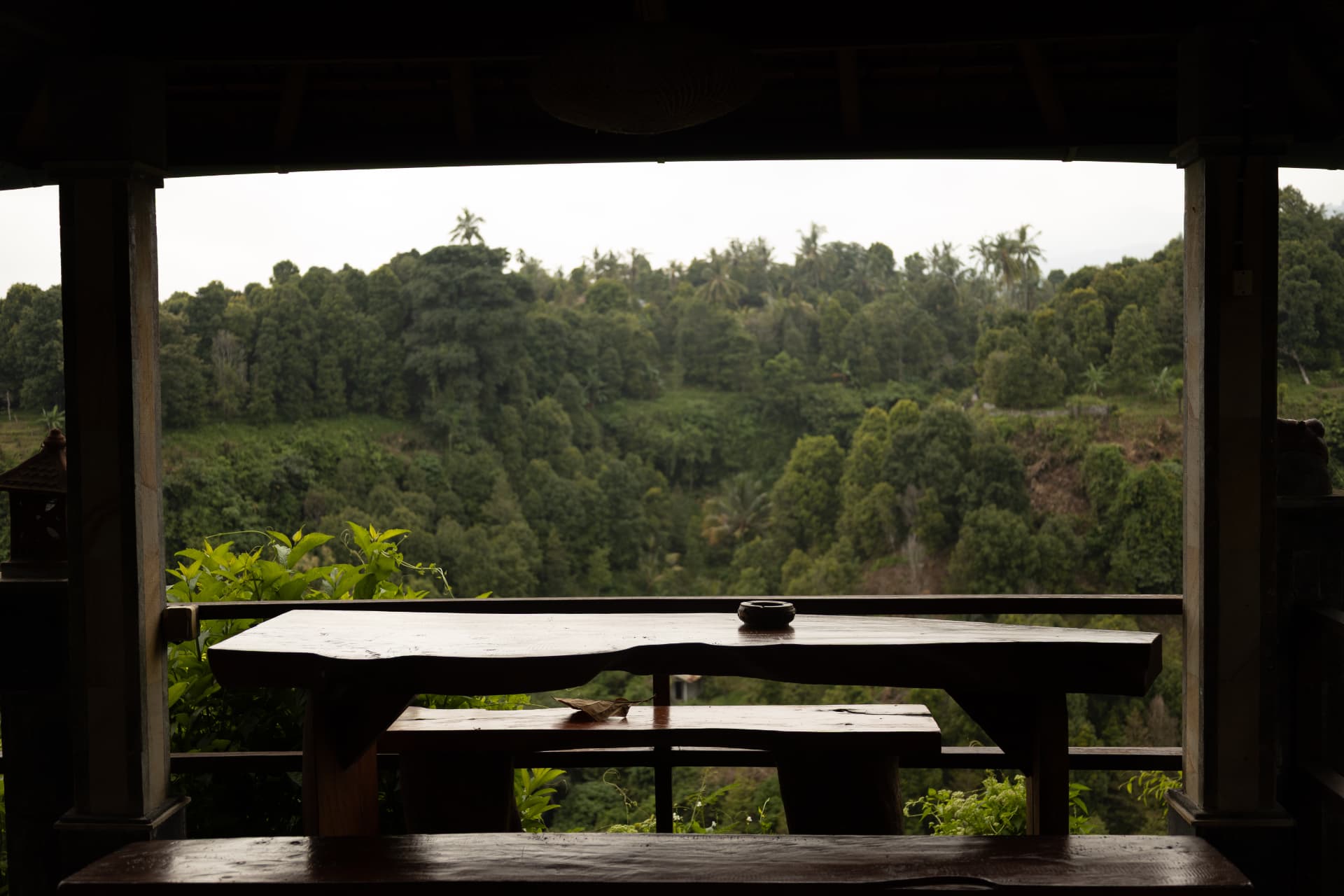 Live-edge wooden table on an open pavilion facing the rainforest