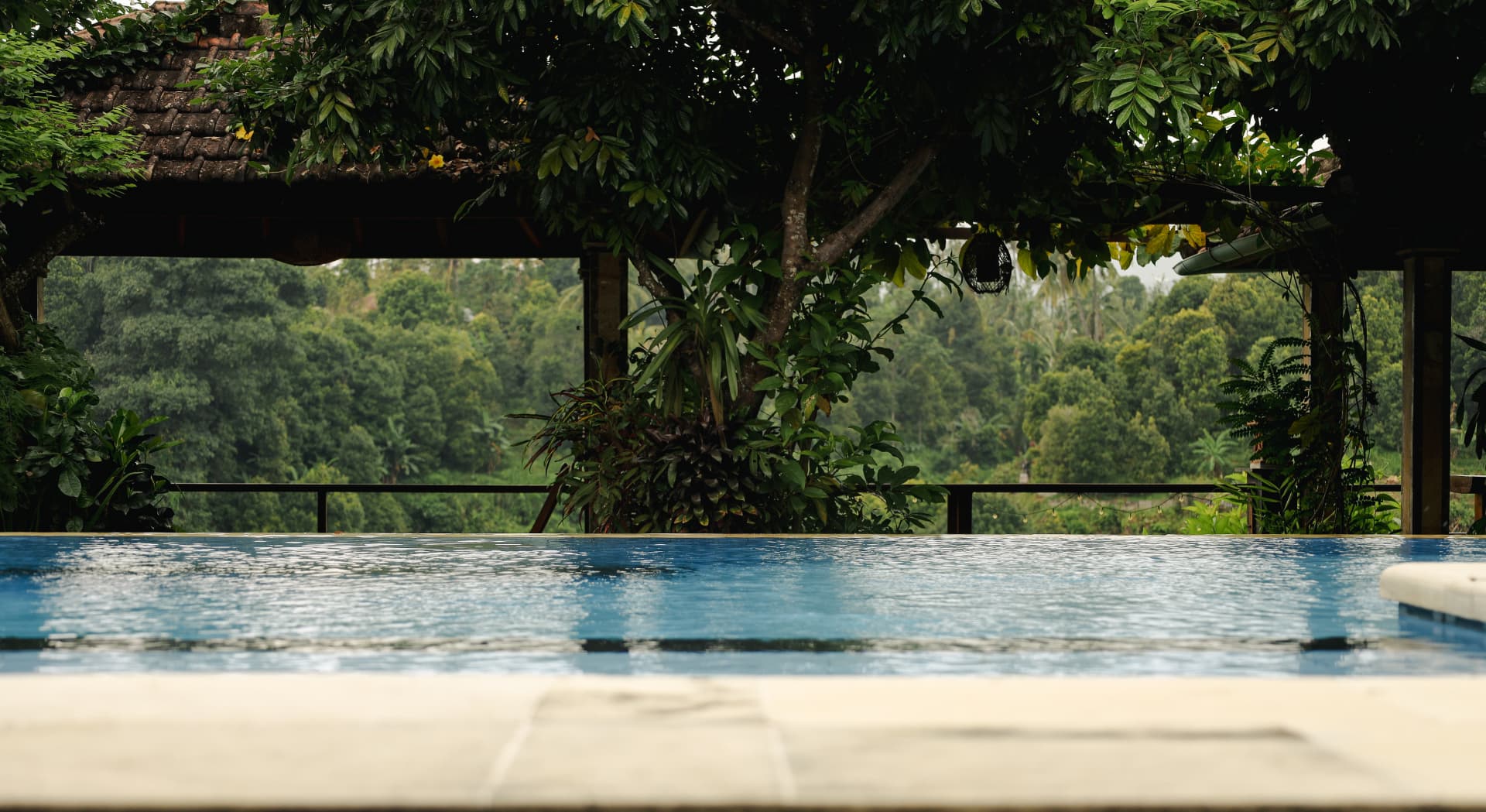 Infinity pool edge framed by jungle canopy