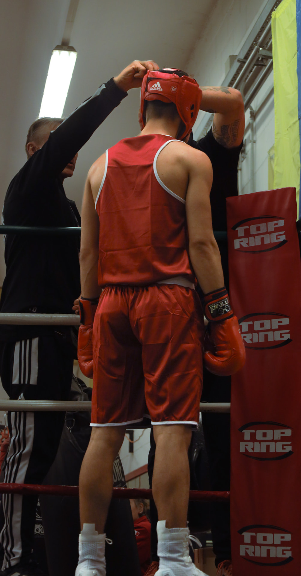 Boxer having his headgear fitted in the red corner