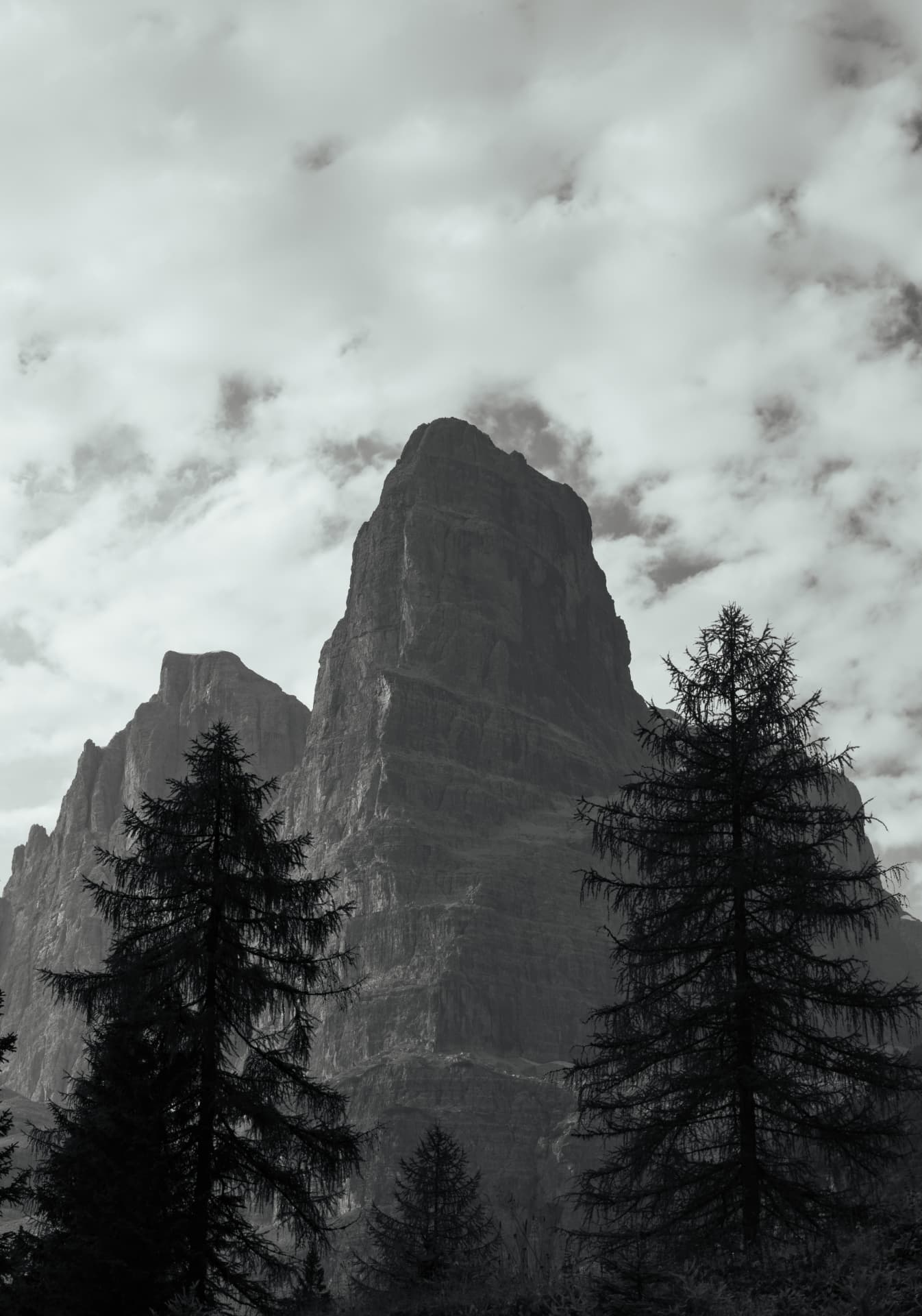 Black and white Dolomite peak framed by larch trees